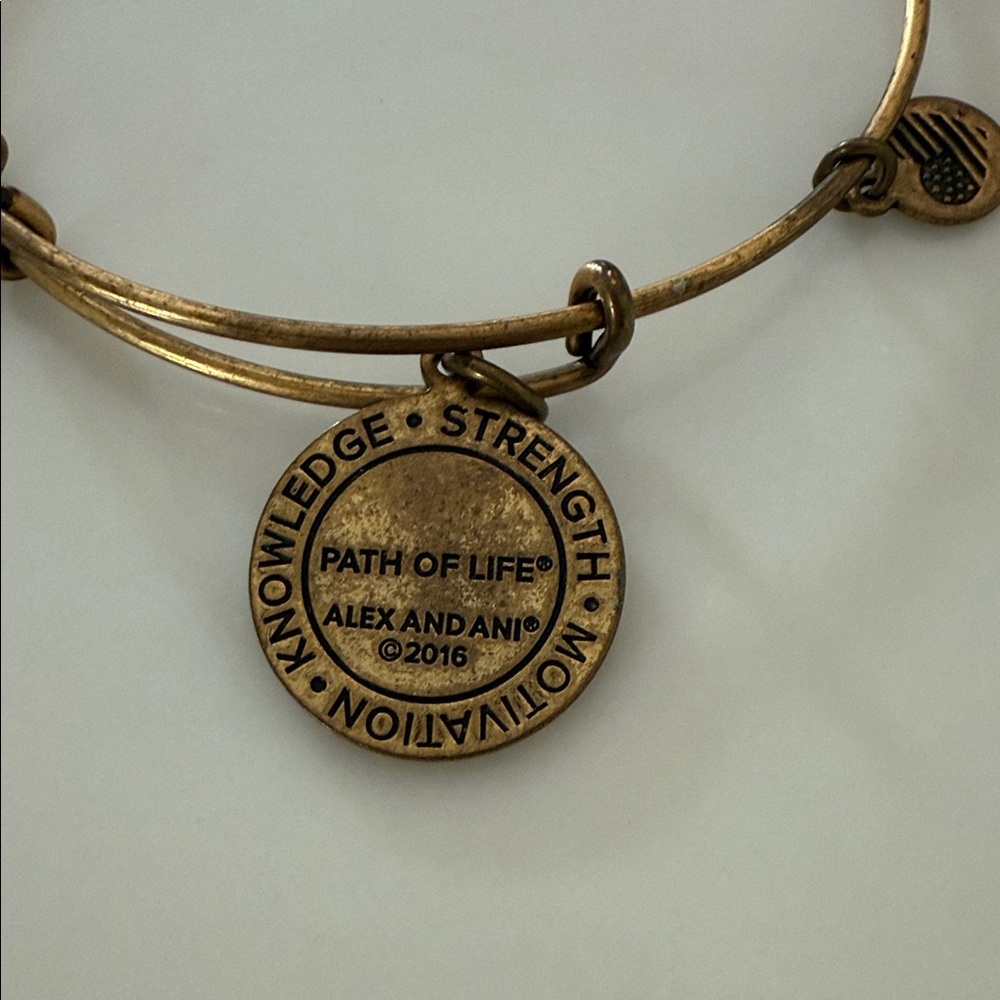 Alex and Ani Gold 2016 Bangle Bracelet Set - Picture 3 of 7
